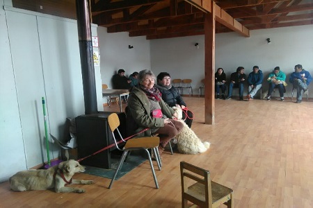 esterilizacion