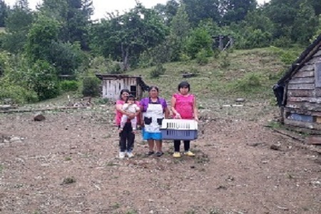 esterilizacion_marzo
